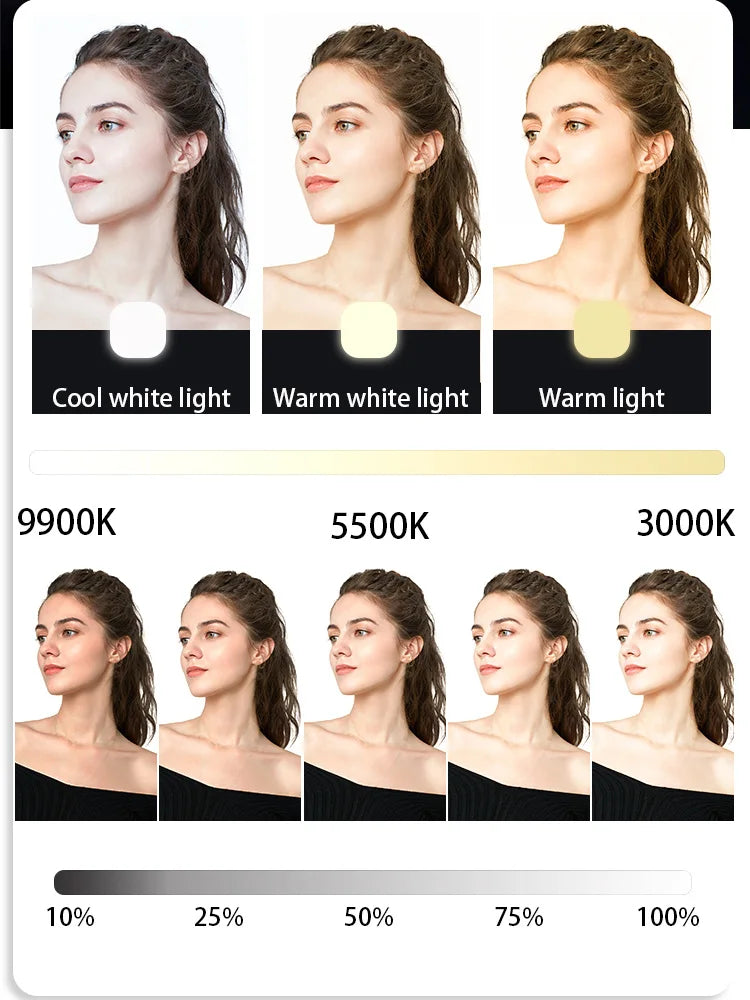 Portable Bi-Colour LED Fill Light - Clip-On Camera and Phone Light