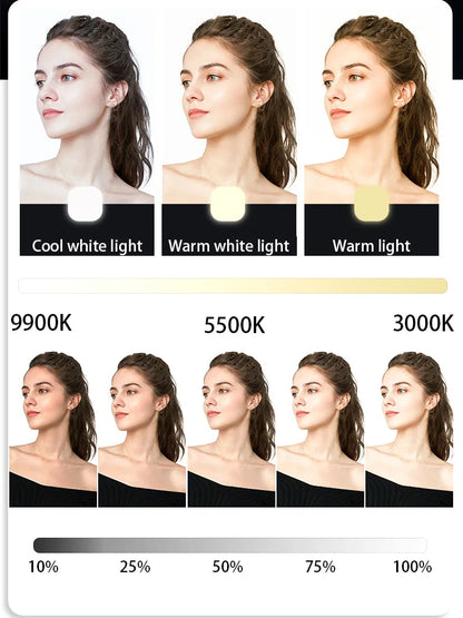 Portable Bi-Colour LED Fill Light - Clip-On Camera and Phone Light